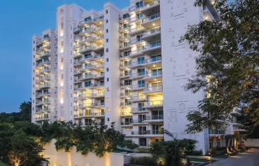 DLF Kings Court.