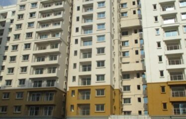 Ahad Euphoria Wing 11