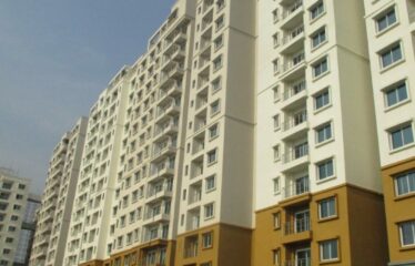 Ahad Euphoria Wing 11