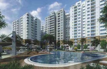 Ahad Euphoria Wing 11