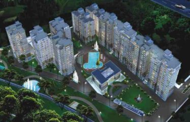 Ahad Euphoria Wing 11