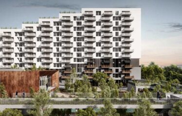 Assetz 38 and Banyan