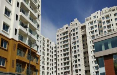 Ahad Euphoria Wing 11