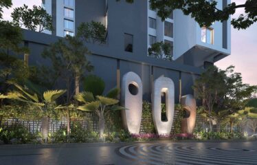 The Canary Residence Collection