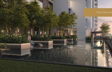 The Canary Residence Collection