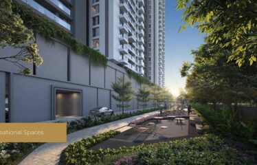 The Canary Residence Collection