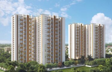 Mahindra Windchimes.