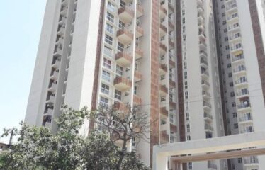 Mahindra Windchimes.