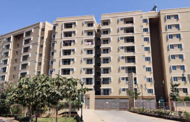 Goldspire at Brigade Orchards