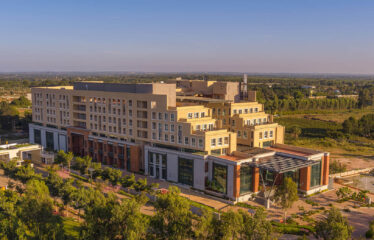 Goldspire at Brigade Orchards