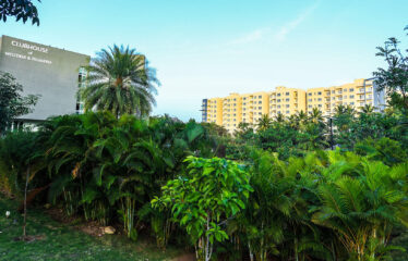 Brigade Plumeria Lifestyle At Brigade Meadows