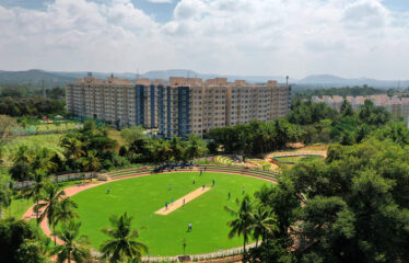 Goldspire at Brigade Orchards