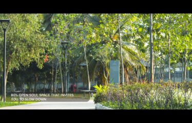 Brigade Plumeria Lifestyle At Brigade Meadows