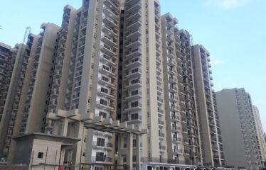 Aims Golf Avenue