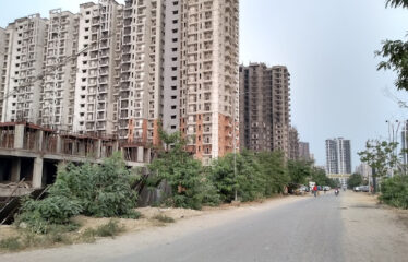 Hawelia Valenova Park