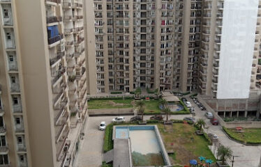 Aims Golf Avenue