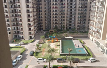 Aims Golf Avenue
