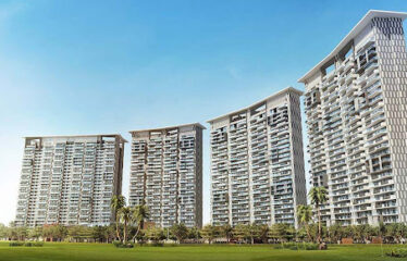 Prateek Canary