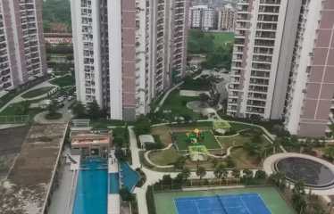 Great Value Sharanam