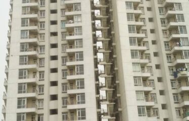 Jaypee Pavilion Height 4