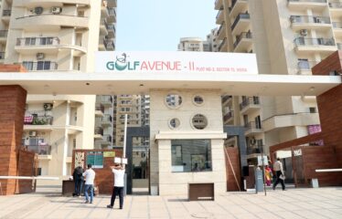 Aims Golf Avenue