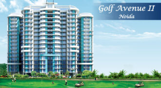 Aims Angel Golf Avenue II