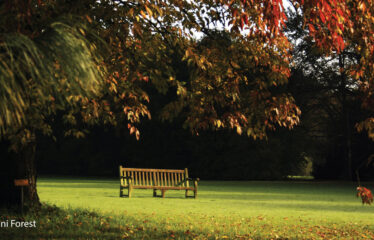 PROVIDENT SUNWORTH CITY