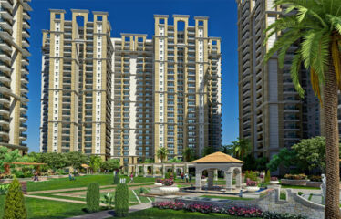 Apex Athena Noida