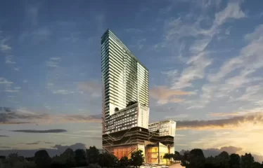 Bayaweaver Oh My God