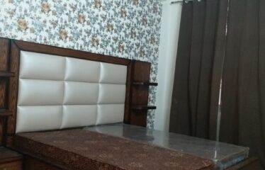 Mehak Eco City Villas