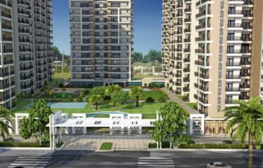 Nirala Aspire Phase IV