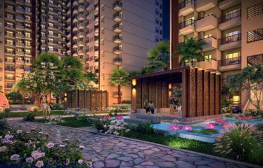 Nirala Aspire Phase IV