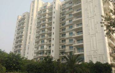 DLF King’s Court