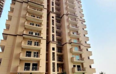 Dev Sai Sportshome – Noida Extension