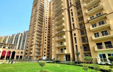 Dev Sai Sportshome – Noida Extension