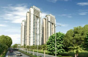 Dev Sai Sportshome – Noida Extension